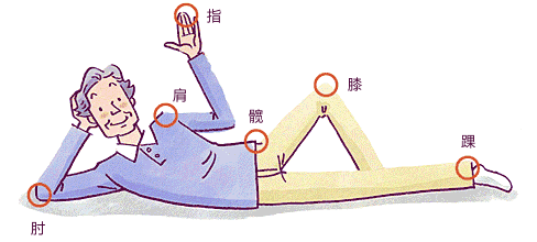 关节的部位 插图