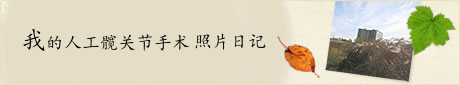 我的人工髋关节手术 照片日记