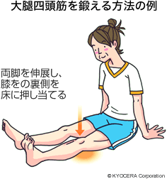 大腿四頭筋を鍛える方法の例