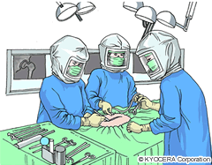 人工股関節の手術