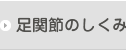 足関節のしくみ