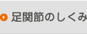 足関節のしくみ