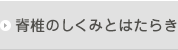 脊椎のしくみとはたらき