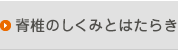 脊椎のしくみとはたらき