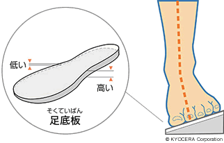 足底板