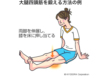 大腿四頭筋を鍛える方法の例