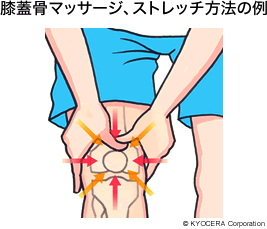 朱 寧進 膝の痛みには 関節外の痛みと関節内の痛みがあります 痛みの原因を見極めてこそ 治療がうまくいくといえるでしょう 先生があなたに伝えたいこと 人工関節と関節痛の情報サイト 関節が痛い Com