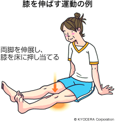 膝を伸ばす運動の例