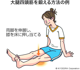 大腿四頭筋を鍛える方法の例