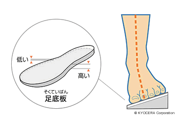 足底板