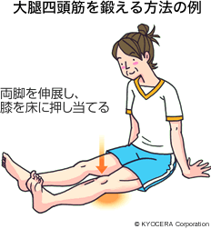 大腿四頭筋を鍛える方法の例