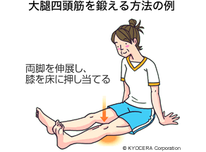 大腿四頭筋を鍛える方法の例