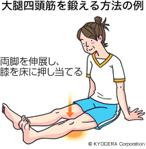 大腿四頭筋を鍛える方法の例