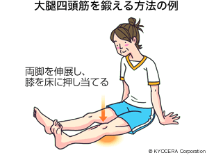 大腿四頭筋を鍛える方法の例