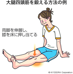 大腿四頭筋を鍛える方法の例