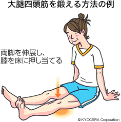 大腿四頭筋を鍛える方法の例