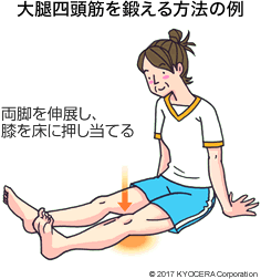 大腿四頭筋を鍛える方法の例