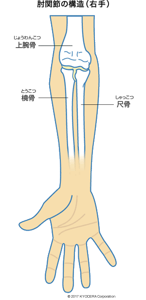 骨折 リハビリ 肘