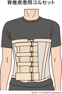 脊椎疾患用コルセット