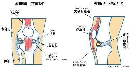 （※１）ポリエチレン部分で起こる磨耗