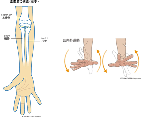 肩と肘の痛み 永井 宏和 肩や肘の疾患は 気づかないうちに進行していることがよくあります 少しでも気になる症状があれば 早めに専門医にかかることが大切です