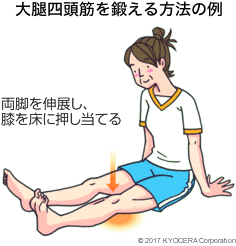 大腿四頭筋を鍛える方法の例