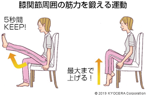 膝関節周囲の筋力を鍛える運動