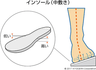 インソール（中敷き）