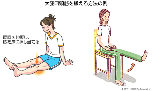 大腿四頭筋を鍛える方法の例