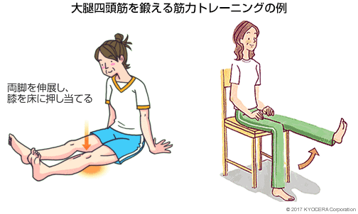 大腿四頭筋を鍛える筋力トレーニングの例