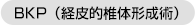 BKP（経皮的椎体形成術）