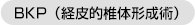 BKP（経皮的椎体形成術）