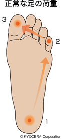 正常な足の荷重