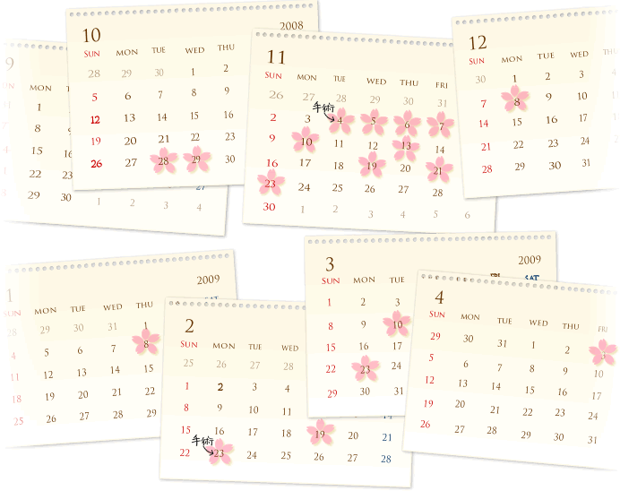 I.手術を決意したものの揺らぐ気持ち～左足の手術、つらい術後、そして退院～