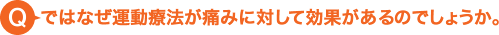 ではなぜ運動療法が痛みに対して効果があるのでしょうか。