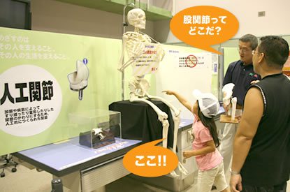 人工関節(じんこうかんせつ)の展示の様子